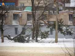 В Ставрополе полностью наладили работу электричества после урагана