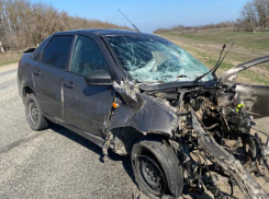 Пожилой мужчина погиб в аварии на трассе на Ставрополье