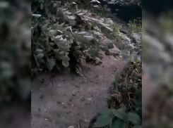 Вода текла по склону, а потом земля съехала во двор: из-за коммунальной аварии в Ставрополе сошел оползень