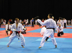 Ставропольские каратисты и дзюдоисты собрали богатый урожай трофеев на Черноморском побережье 