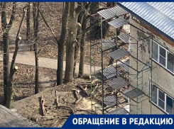 В сквере Дубовая Роща в Ставрополе снова вырубают деревья?