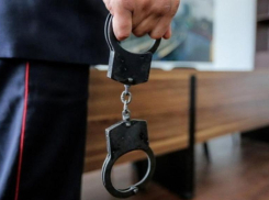 Напавшими на ставропольчан с детьми хулиганами заинтересовалась полиция  