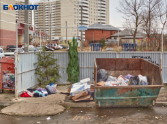 Стало известно, сколько будут платить ставропольцы за вывоз мусора с 2025 года