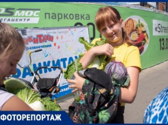 В Ставрополе прошел фестиваль еды