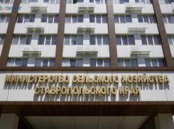 За аферу на 30 миллионов чиновница ставропольского минсельхоза с фермерами получили приговор