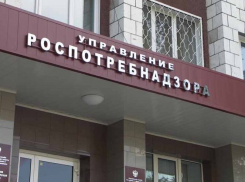 В Ставропольском крае увеличилось количество телефонных мошенников