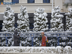 Несколько ставропольских школ из-за непогоды уходят на дистанционное обучение 25 февраля