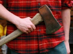 Ненавидящий тещу зять заманил ее в безлюдное место и изрубил топором на Ставрополье