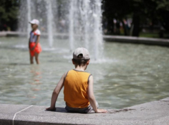 Жара до +39 градусов ожидается на Ставрополье 