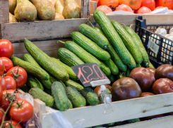 В Ставрополе на выходных организуют пять продуктовых ярмарок