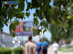 Дождь и погодные контрасты от +11 и до +30 окатят Ставрополье в начале рабочей недели 