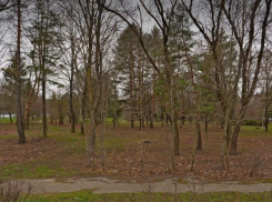 Сквер за 26 миллионов обустроят на Кулакова в Ставрополе