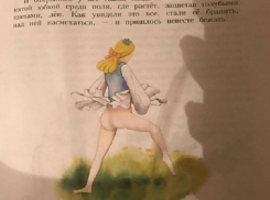 Пошлая картинка в детской книге сына привела в ужас молодую маму на Ставрополье
