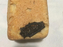 Продавца и производителя хлеба с летучей мышью проверил Роспотребнадзор