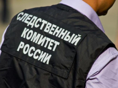 На Ставрополье решают вопрос о возбуждении дела по факту гибели девочки под колесами поезда