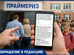 Нагружают учителей и гонят родителей на праймериз? Филиал ада мог открыться в школе №27 в Ставрополе