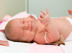 Четыре Князя, три Майора и две Забавы появились за последний год на Ставрополье