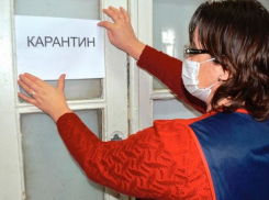 Несколько школ и детсадов закрыли на карантин на Ставрополье