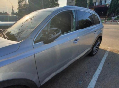 Глава КФХ на Ставрополье выжил после огнестрела в голову и тело