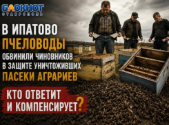 Пчелы дохнут, чиновники молчат: ставропольские пасечники выступили с заявлением после массовой гибели насекомых