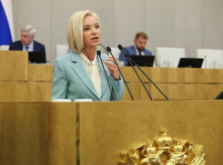 Ставропольские депутаты Госдумы защитили отечественное кино от нетрадиционных ценностей и однополой любви 