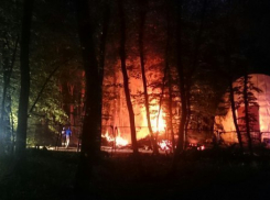 В парке Победы случился пожар