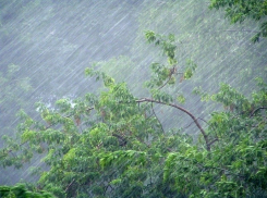 Гроза, дождь и ветер ожидаются на Ставрополье 17 августа