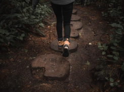 Тело 16-летней девочки нашли в лесу в рядом со Светлоградом