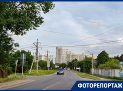 Бесполезные остановки и пугливые собаки: что скрывают промзоны на севере Ставрополя?