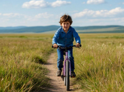 Трехлетний мальчик сбежал с кошары на Ставрополье