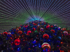 В Ставрополе убирают новогоднее убранство, но не всё 