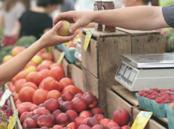 Депутат ставропольской гордумы продавал бесплатные места на участие в ярмарках