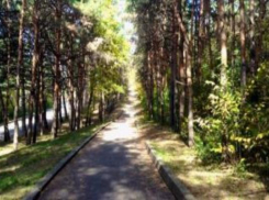 «Тропу братьев Бернардацци» восстановят в Пятигорске до конца года