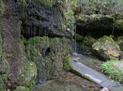 На Ставрополье совсем скоро откроется экопарк «Баталинский»