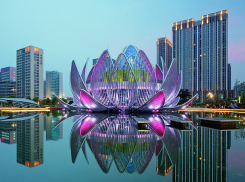 Иностранные города-побратимы станут ближе к Ставрополю