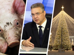 Одни свиньи болеют, других спасает губернатор, а главная елка Ставрополя под угрозой: вспоминаем громкие события недели