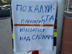 В кампанию по защите животных превратили жители Невинномысска рекламу приехавшего цирка