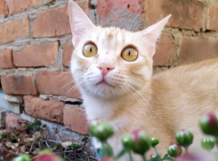 В четверг в Ставрополе резко потеплеет: до +15 и солнечно