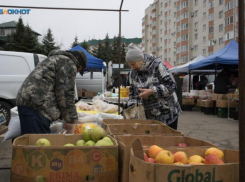 Дешевели огурцы и дорожала свекла на прошлой неделе на Ставрополье