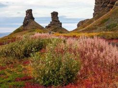Михаил Миненков предложил поддержать столицу Гипербореи