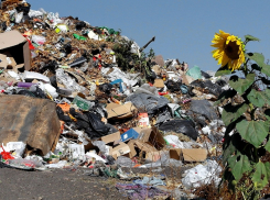 Рекультивацию свалок на Ставрополье проведут за федеральные деньги