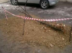 Опасный люк огородили и засыпали в Кисловодске после публикаций в СМИ