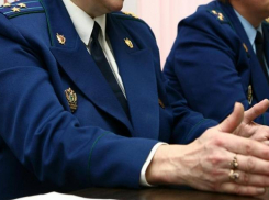 Сотрудники Минсельхоза скрыли доходы от ставропольской прокуратуры