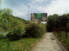 Варварская вырубка деревьев ради обзора рекламного щита привела в ярость жителей Ставрополя