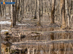 Туманы и дожди решили не расставаться со Ставрополем и 13 ноября 