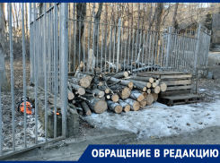 Вырубка здоровых деревьев с подачи мэрии возмутила жителей Кисловодска