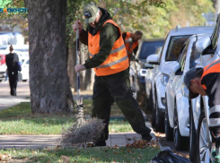 Токарей и дворников разыскивают на Ставрополье работодатели