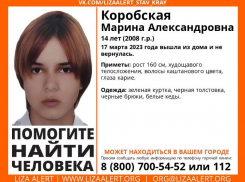 На Ставрополье пропала 14-летняя девочка