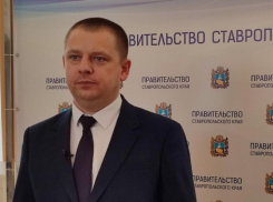 «Все собаки будут задекларированы»: чиновники Ставрополья рассказали о будущем бездомных и домашних животных