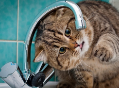 Часть Ставрополя осталась без воды